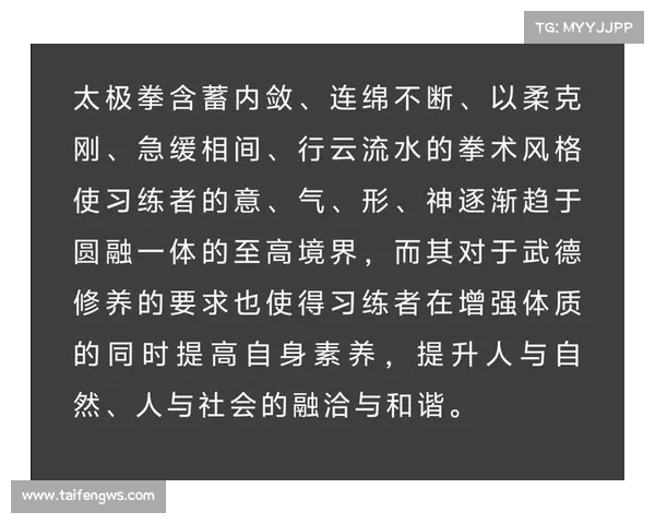 武当武术的历史传承与技艺精髓探析及其现代价值与影响