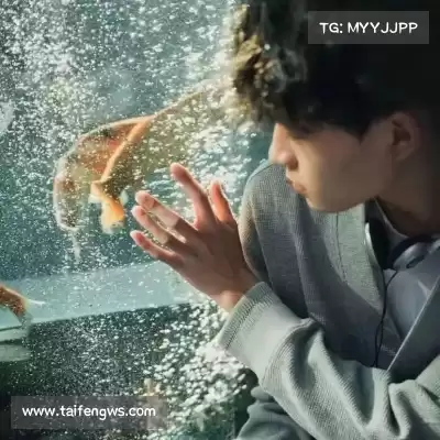 程意暖